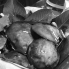 Funghi